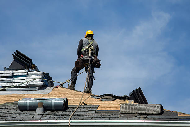 Professional Gutter Installation technician working in Elk River, MN